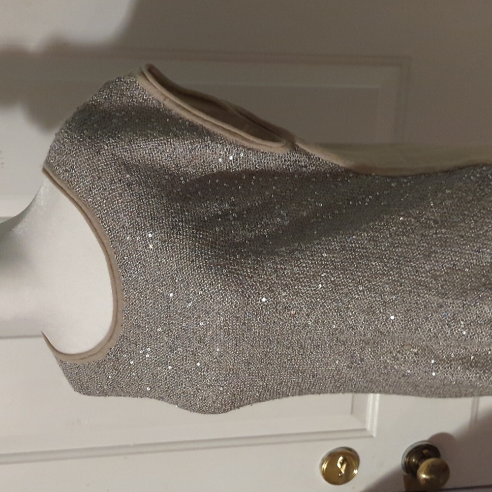 Ann Taylor Loft Sequin Tank Top Tan Silver Large - Picture 2 of 10